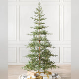 Árvore de Natal Abeto Balsâmico Alpino