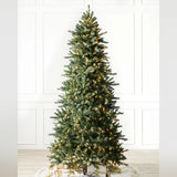 Árvore de Natal Abeto Montanha Berkshire