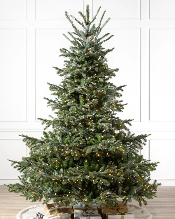 Árvore de Natal Abeto Nórdico