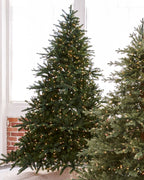 Árvore de Natal Pinheiro Real LED Quente