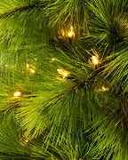 Árvore de Natal Pinheiro Agulha Slim