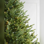 Árvore de Natal Abeto Balsâmico Imperial