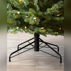 Árvore de Natal Abeto Balsâmico Imperial