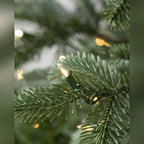 Árvore de Natal Abeto Europeu
