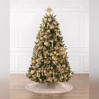 Árvore de Natal Abeto Fraser Imperial