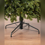 Árvore de Natal Abeto Fraser Imperial