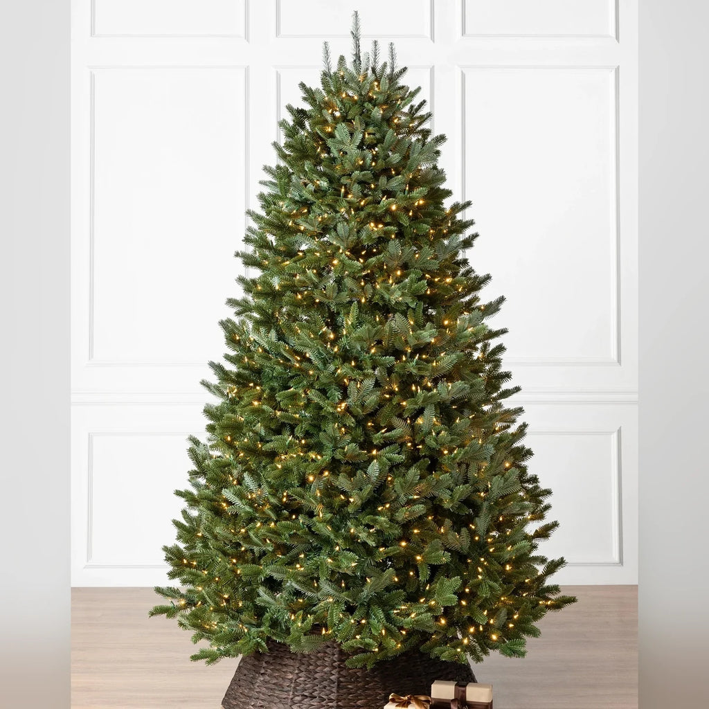 Árvore de Natal Abeto Fraser Imperial