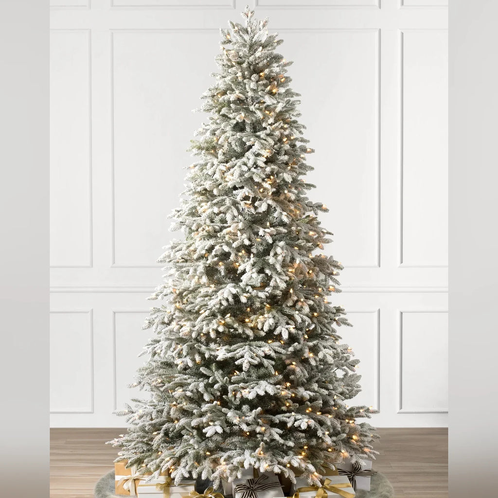 Árvore de Natal Abeto Fraser Nevado