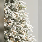 Árvore de Natal Abeto Fraser Nevado