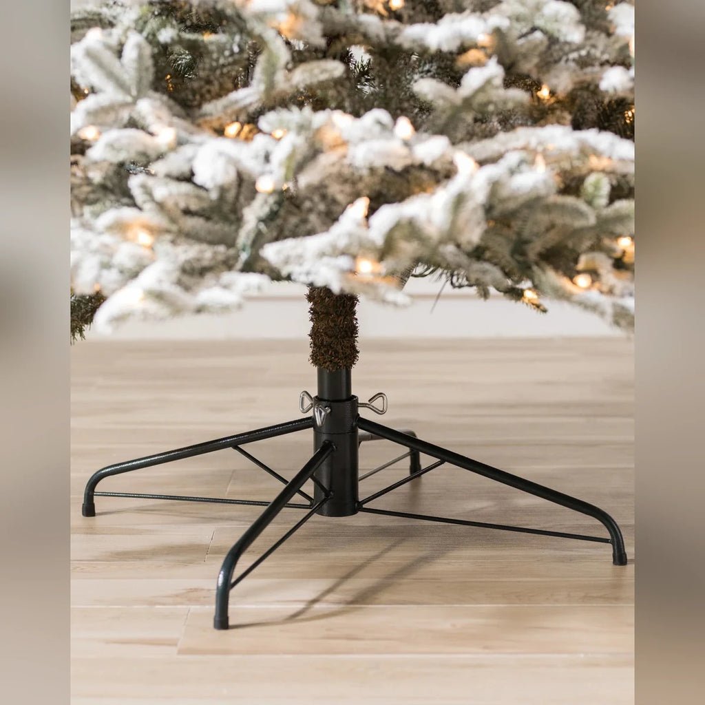 Árvore de Natal Abeto Fraser Nevado