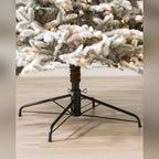 Árvore de Natal Abeto Fraser Nevado