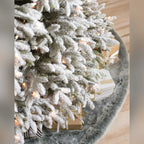 Árvore de Natal Abeto Fraser Nevado