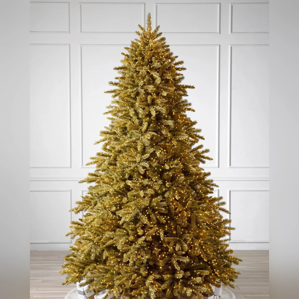 Árvore de Natal Abeto Golden Aspen Estate