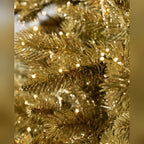 Árvore de Natal Abeto Golden Aspen Estate
