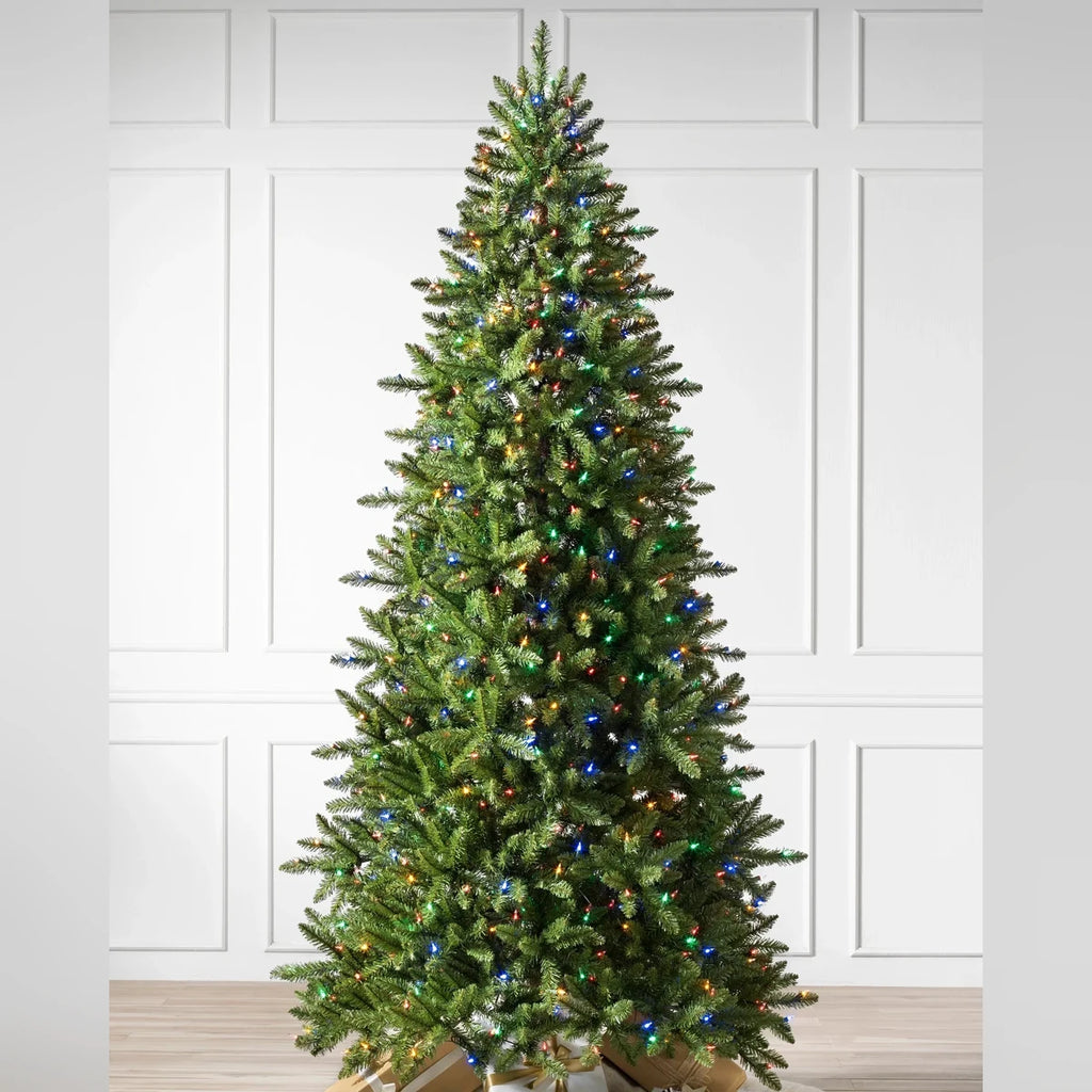 Árvore de Natal Abeto Montanha Berkshire