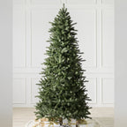 Árvore de Natal Abeto Montanha Berkshire