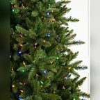 Árvore de Natal Abeto Montanha Berkshire