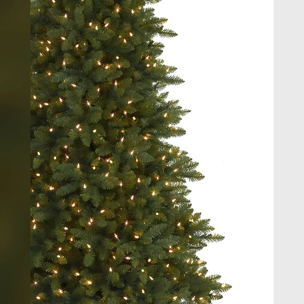Árvore de Natal Abeto Montanha Berkshire