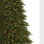 Árvore de Natal Abeto Montanha Berkshire