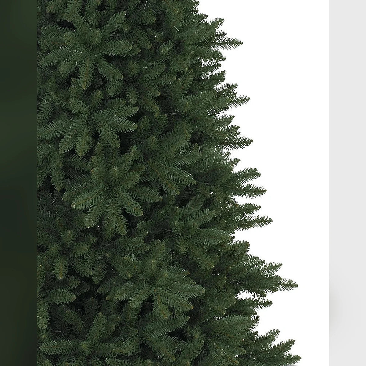 Árvore de Natal Abeto Montanha Berkshire