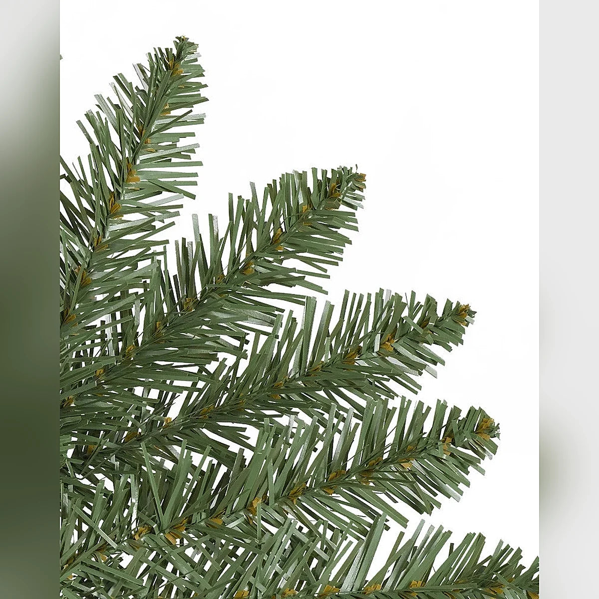 Árvore de Natal Abeto Montanha Berkshire