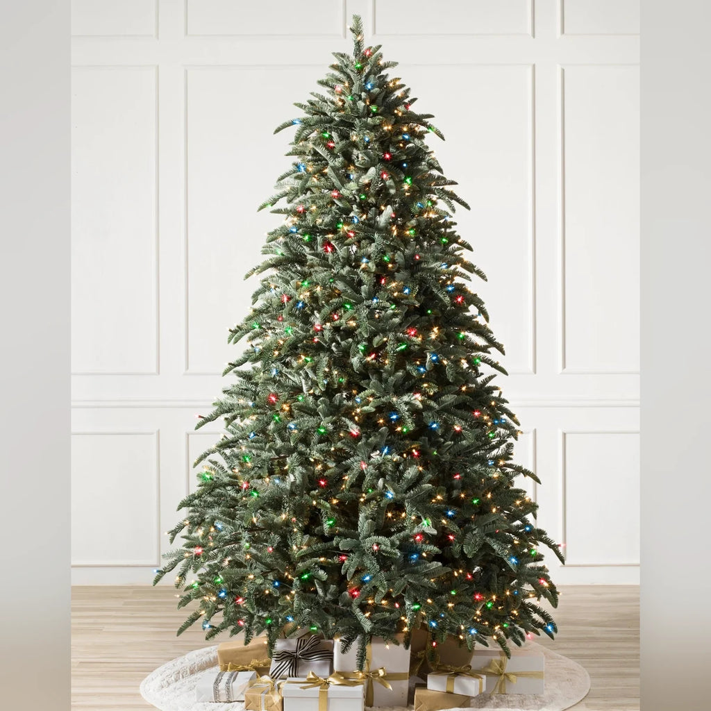 Árvore de Natal Abeto Nobre