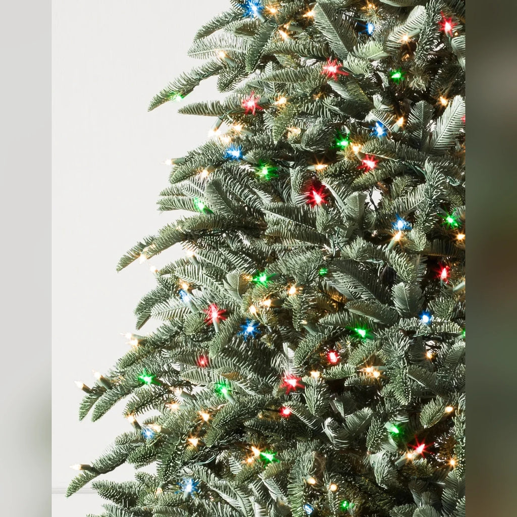 Árvore de Natal Abeto Nobre