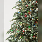 Árvore de Natal Abeto Nobre