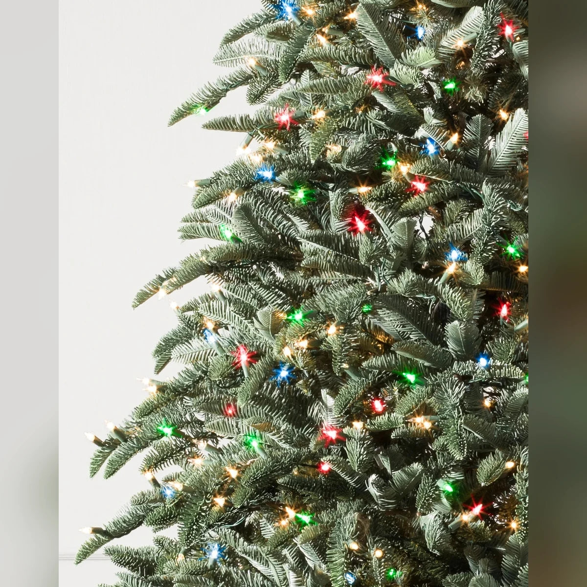 Árvore de Natal Abeto Nobre