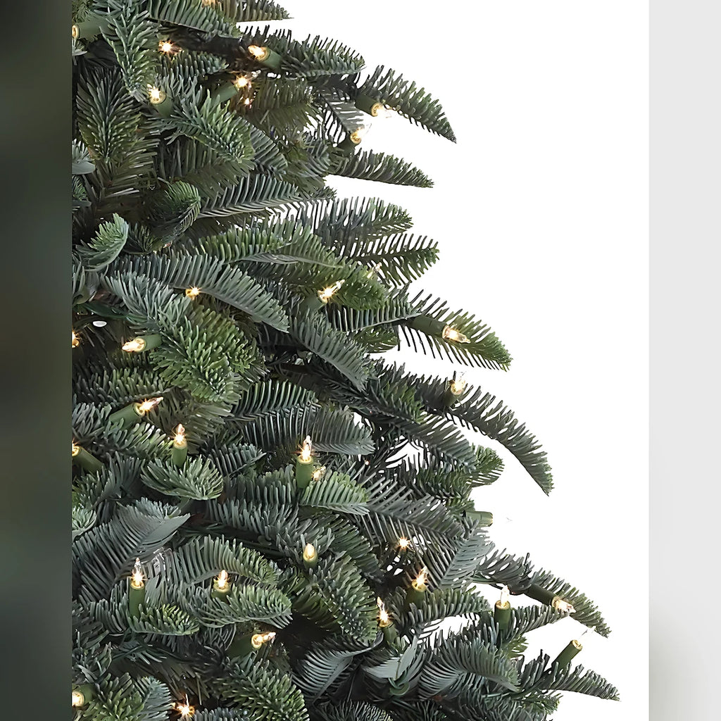 Árvore de Natal Abeto Nobre