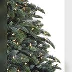 Árvore de Natal Abeto Nobre