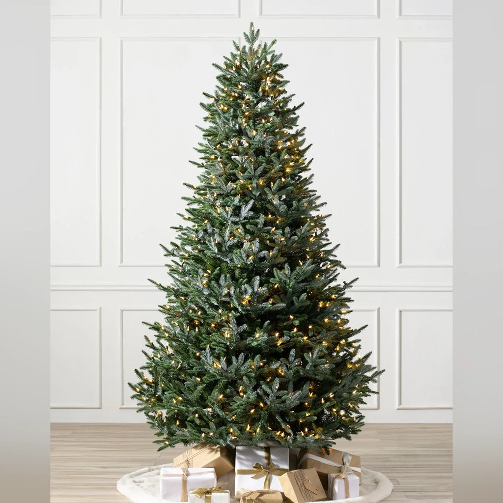 Árvore de Natal Abeto Prateado Europeu