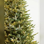 Árvore de Natal Abeto Prateado Europeu