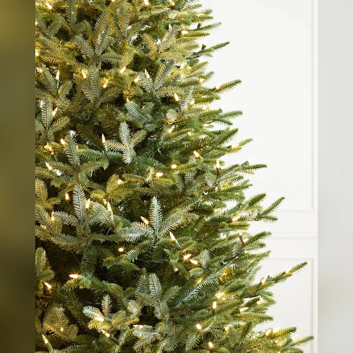 Árvore de Natal Abeto Prateado Europeu