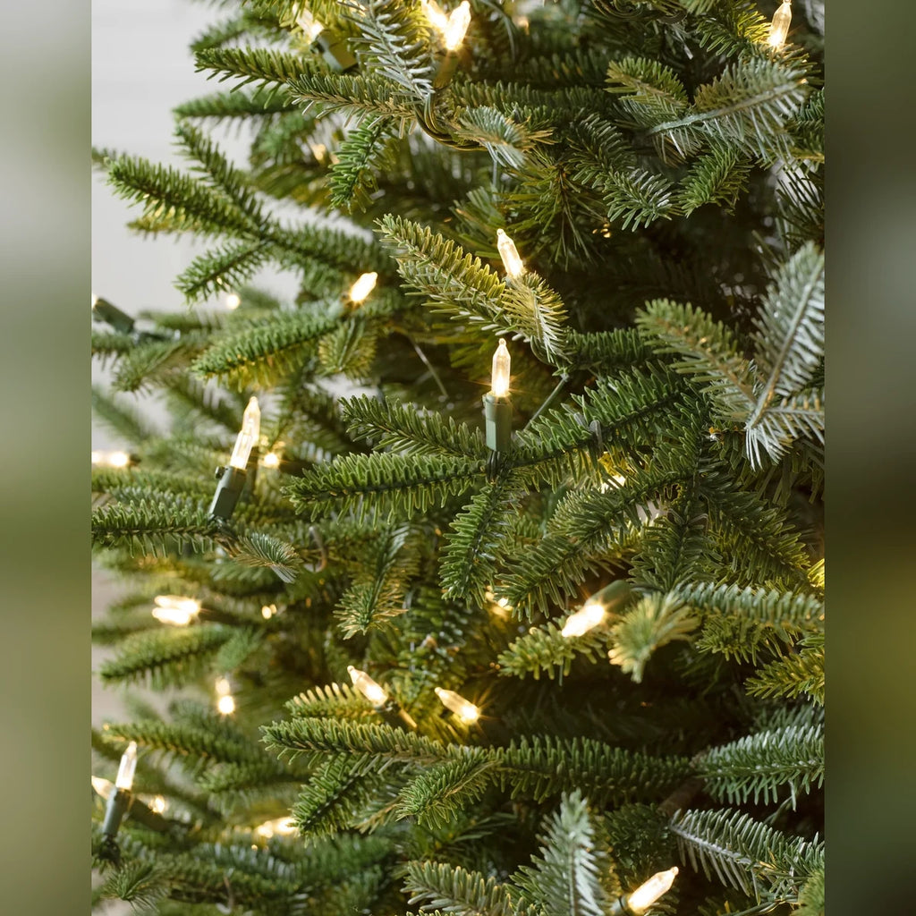 Árvore de Natal Abeto Prateado Europeu