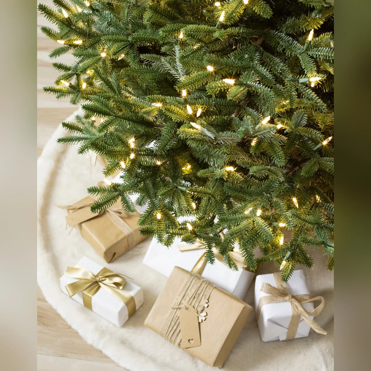 Árvore de Natal Abeto Prateado Europeu