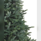 Árvore de Natal Abeto Prateado Europeu