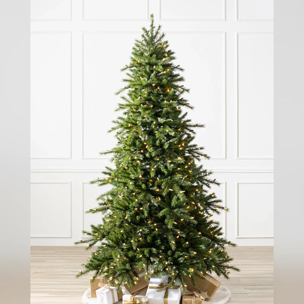 Árvore de Natal Grande Abeto Norueguês