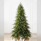 Árvore de Natal Grande Abeto Norueguês