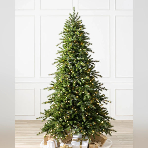 Árvore de Natal Grande Abeto Norueguês