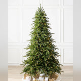Árvore de Natal Grande Abeto Norueguês