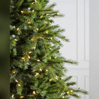 Árvore de Natal Grande Abeto Norueguês
