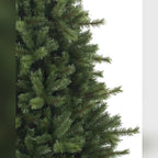 Árvore de Natal Grande Abeto Norueguês