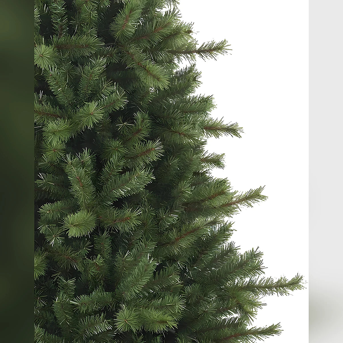 Árvore de Natal Grande Abeto Norueguês