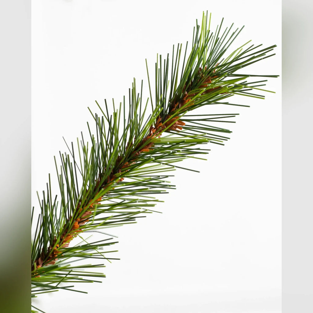 Árvore de Natal Grande Abeto Norueguês