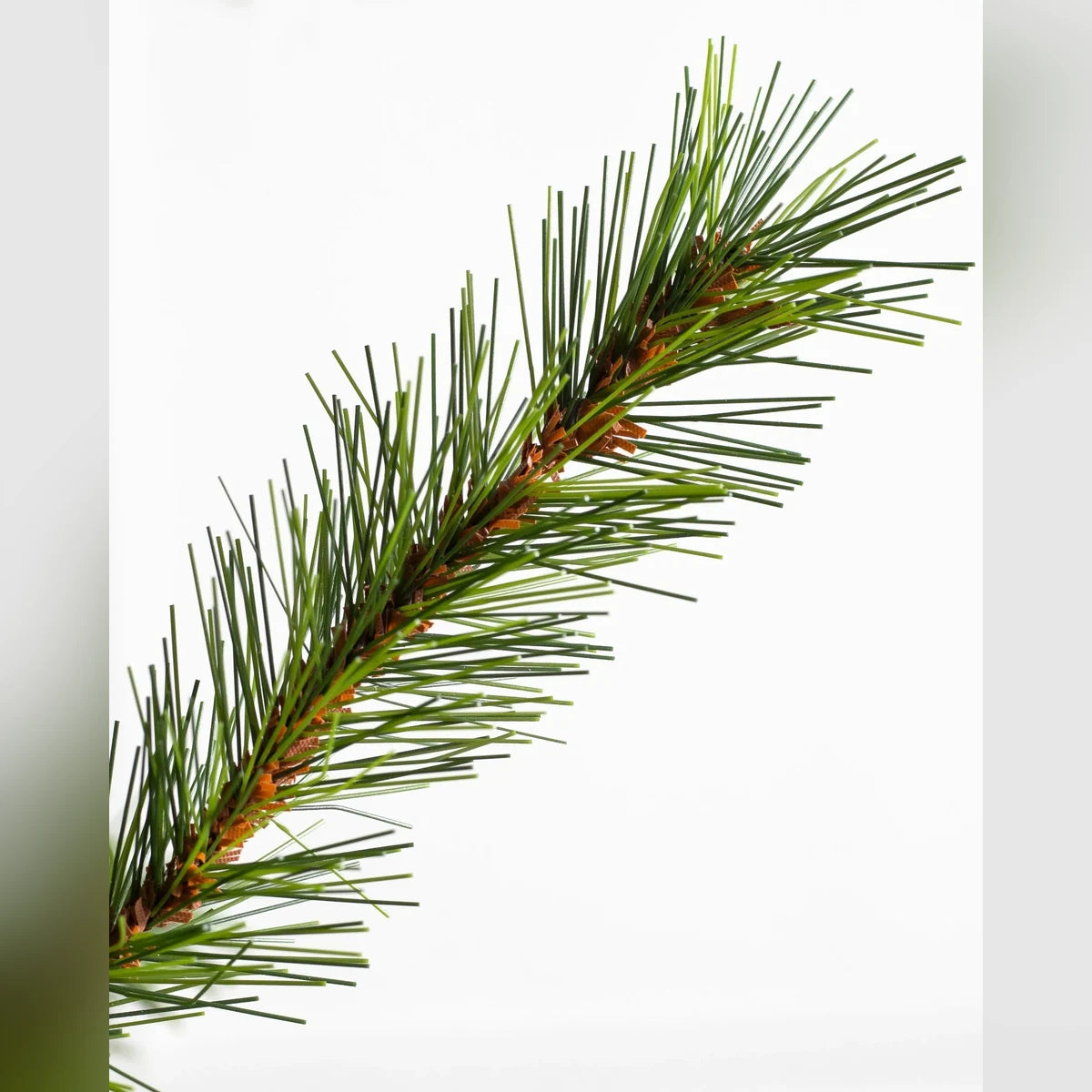 Árvore de Natal Grande Abeto Norueguês