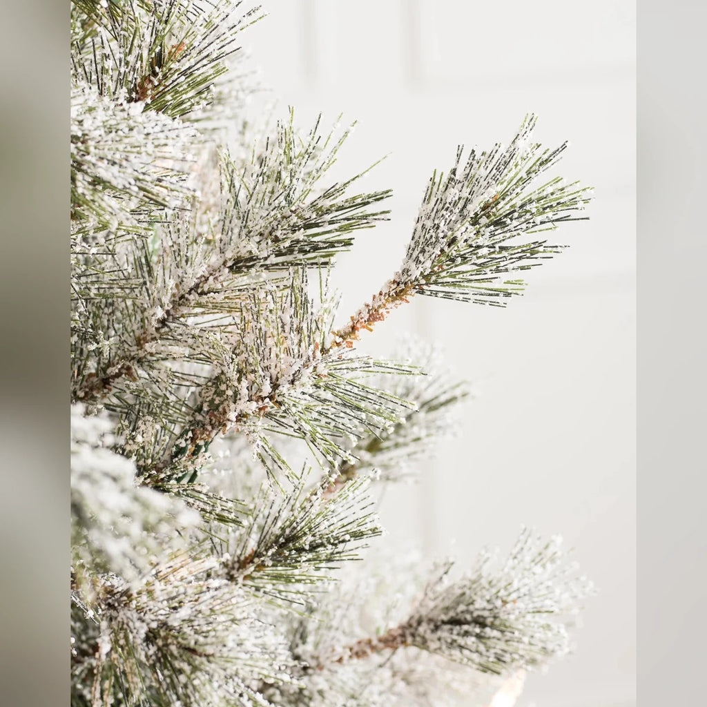Árvore de Natal Pinheiro Açucarado Nevado