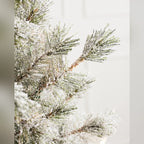 Árvore de Natal Pinheiro Açucarado Nevado
