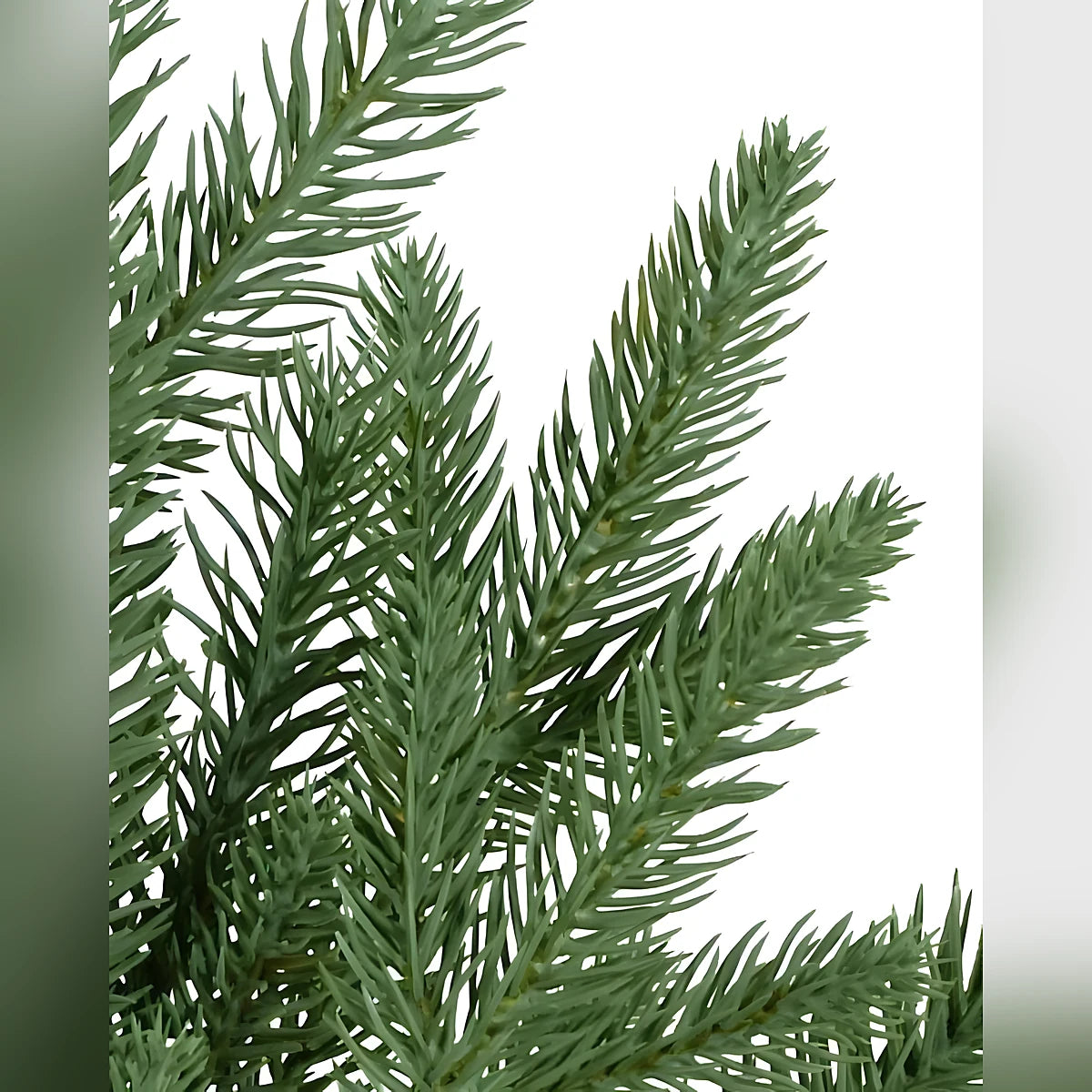 Árvore de Natal Pinheiro Bosque Slim