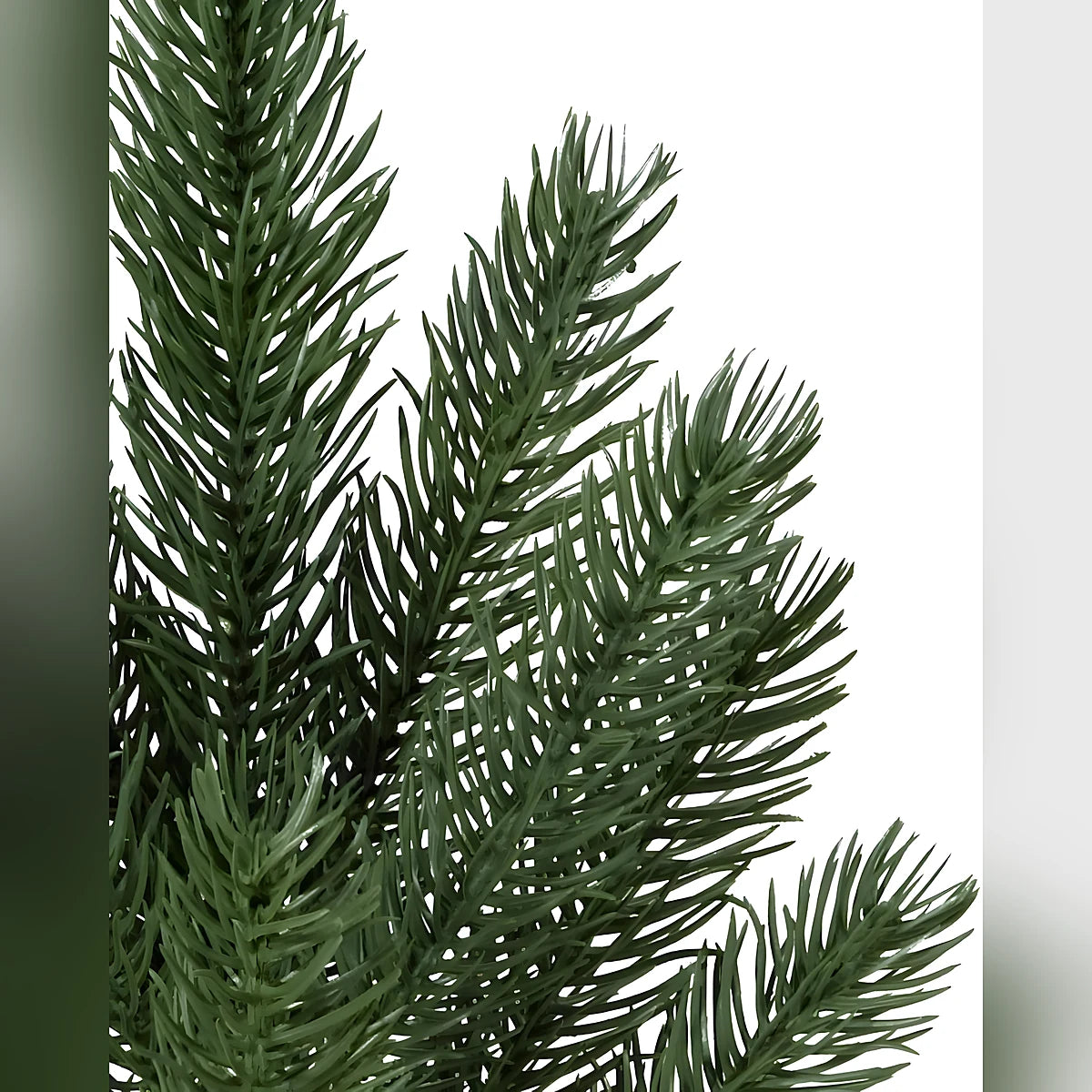 Árvore de Natal Pinheiro Branco de Vermont